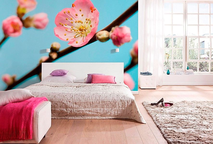 Komar Fototapete Vlies Peach Blossom  350 x 250 cm günstig online kaufen