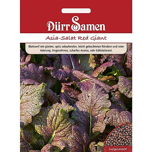 Dürr Samen Asia-Salat Red Giant Saatgut günstig online kaufen