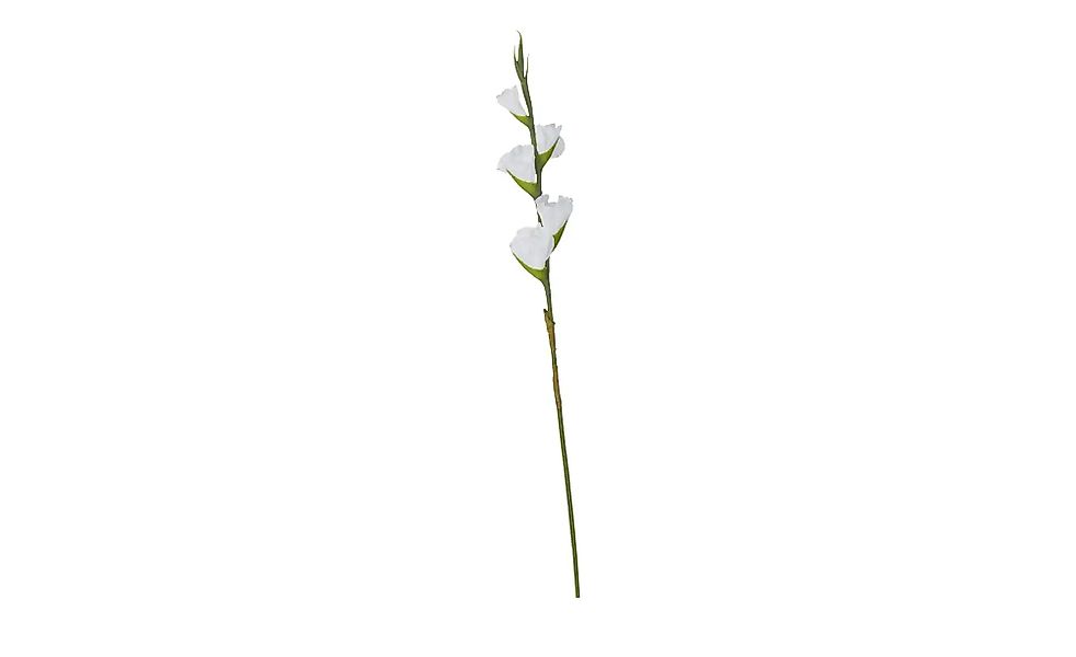 Kunstblume  Gladiole   ¦ weiß ¦ Kunststoff,Eisendraht ¦ Maße (cm): H: 84 Ac günstig online kaufen
