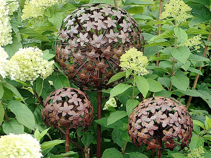 Paulslandhaus Gartenstecker Pflanzstecker Allium 3 Größen Rost Beetstecker günstig online kaufen