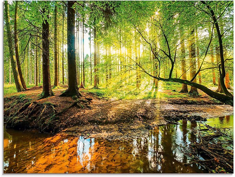 Artland Glasbild "Wald mit Bach" Wald 1 Stk. tlg. in verschiedenen Größen günstig online kaufen