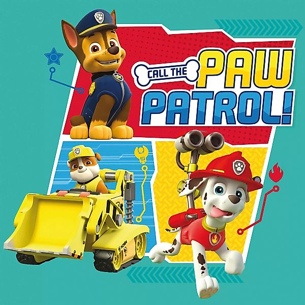Keilrahmenbild Paw Patrol B/L: ca. 35x35 cm günstig online kaufen