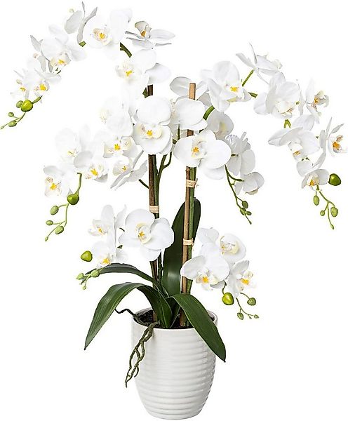 Kunstorchidee Deko-Orchidee Phalaenopsis im Keramiktopf Orchidee Phalenopsi günstig online kaufen