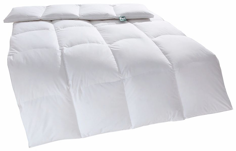 fan Daunenbettdecke "f.a.n. Canada" extrawarm 1 Stk. tlg. günstig online kaufen