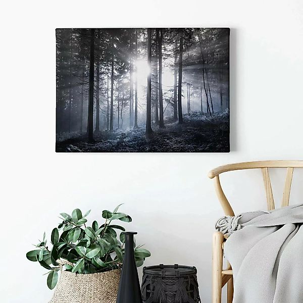 Bricoflor Leinwand Bild Mit Wald In Schwarz Weiß Wandbild Mit Tannenwald In günstig online kaufen