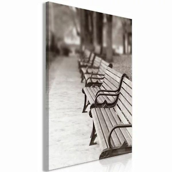 artgeist Wandbild Park Benches (1 Part) Vertical braun-kombi Gr. 40 x 60 günstig online kaufen