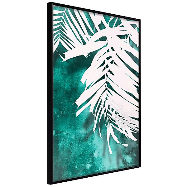 Poster - White Palm On Teal Background günstig online kaufen
