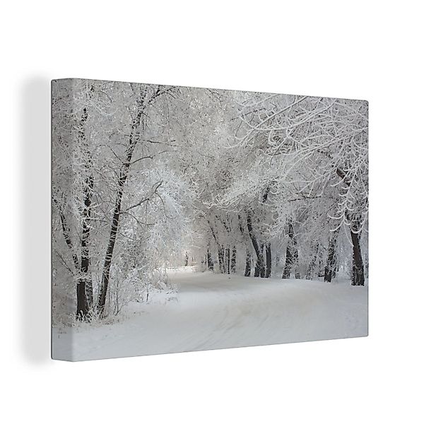 OneMillionCanvasses® Leinwandbild Bäume - Schnee - günstig online kaufen