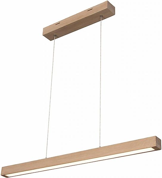 SPOT Light Pendelleuchte »SMAL«, 1 flammig, Leuchtmittel LED-Modul   LED fe günstig online kaufen