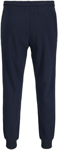 Jack & Jones PlusSize Sweathose JPSTGORDON günstig online kaufen