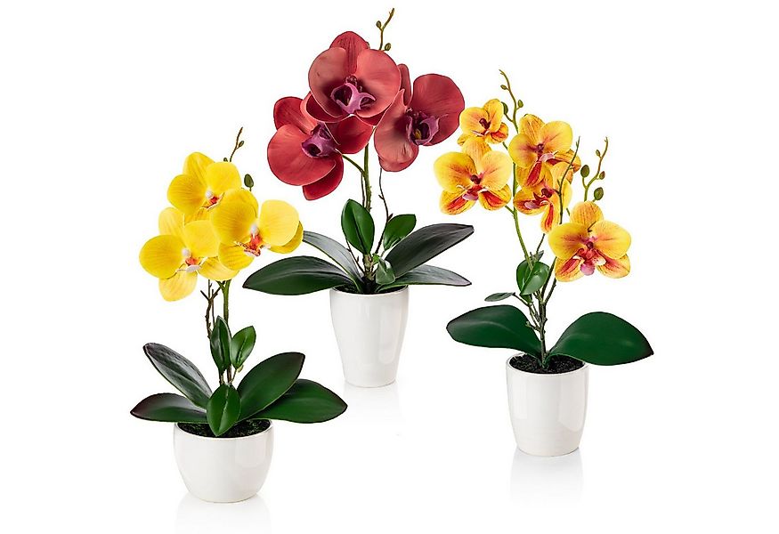 Kunstorchidee 3er Set künstliche Orchideen wie echt (35cm) in Hochglanz-Ker günstig online kaufen