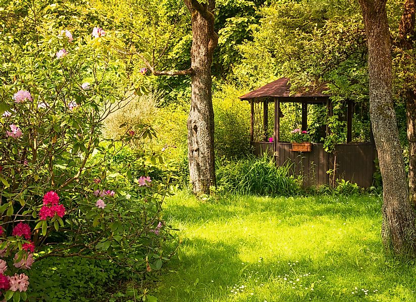 Papermoon Fototapete Magic Garden, glatt günstig online kaufen