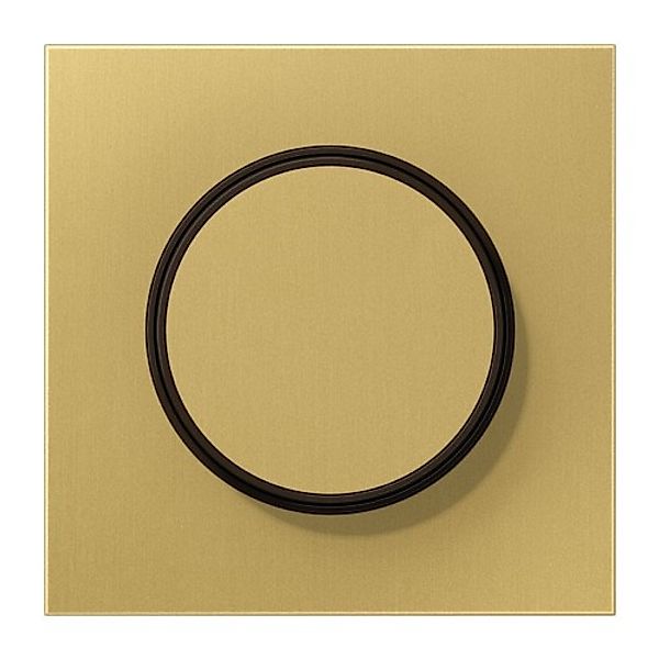 Jung Abdeckung für Drehdimmer Messing, Serie LS ME 1740 C - ME1740C günstig online kaufen