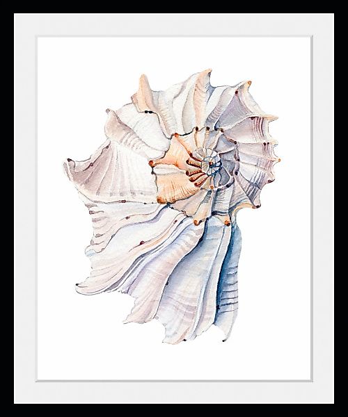 queence Bild »Aaron«, Meer-Wassertiere-Kunst, (1 St.), HD Premium Poster-Dr günstig online kaufen