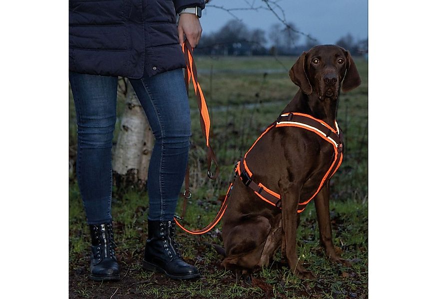 AnnyX Hunde-Geschirr Brustgeschirr Protect - gut sichtbar - einstellbar, Ny günstig online kaufen