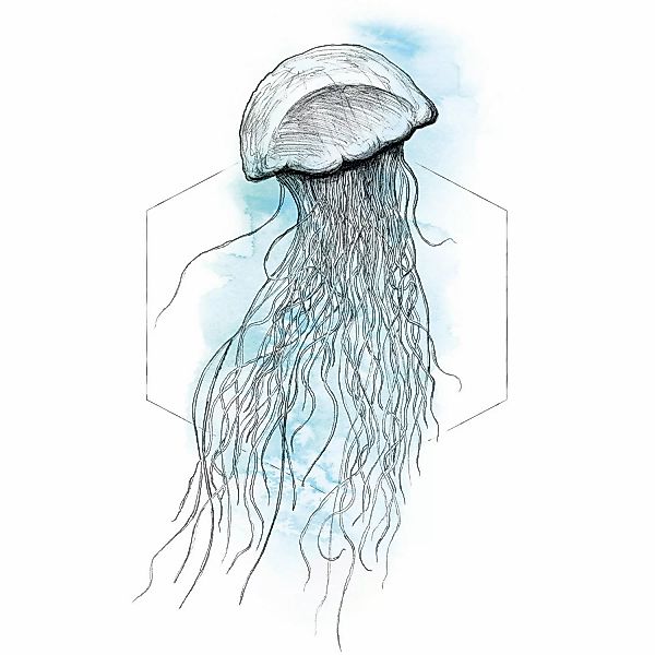Komar Wandbild Jellyfish Watercolor 30 x 40 cm günstig online kaufen