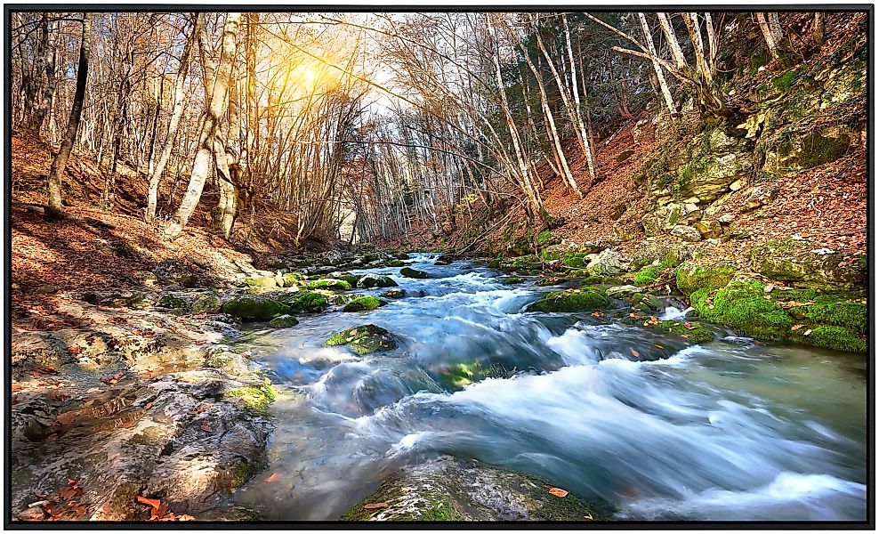 Papermoon Infrarotheizung »Fluss durch Wald«, sehr angenehme Strahlungswärm günstig online kaufen