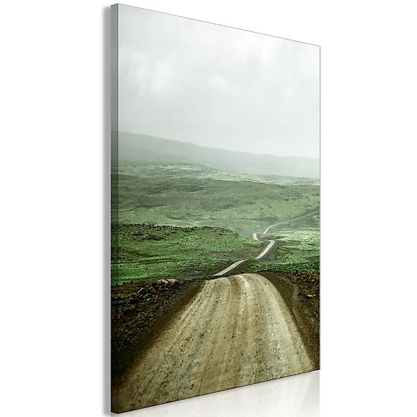 Wandbild - Road Across the Plains (1 Part) Vertical günstig online kaufen