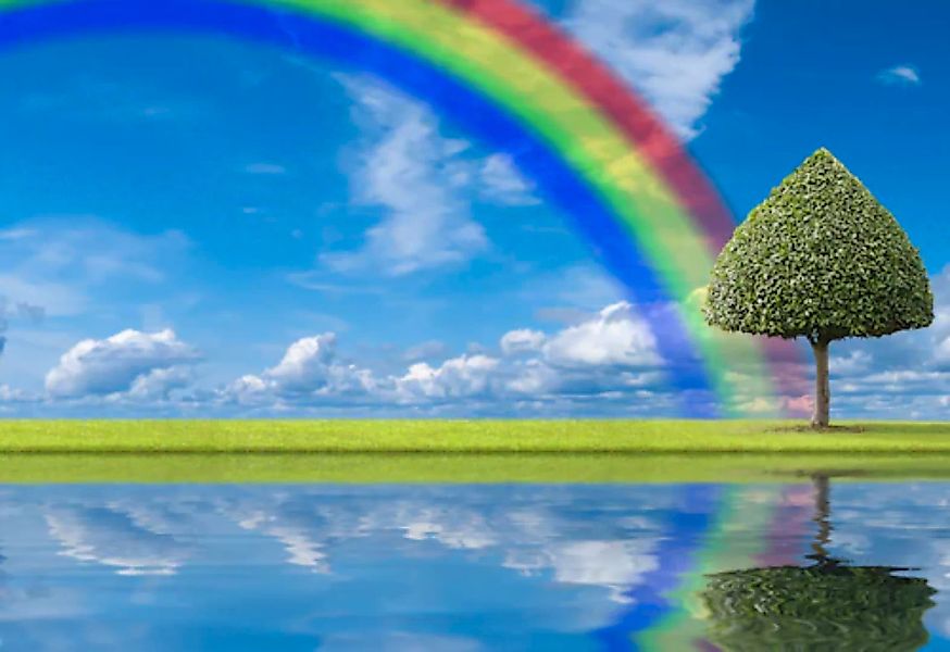 Papermoon Fototapete »regenbogen Wiese« günstig online kaufen