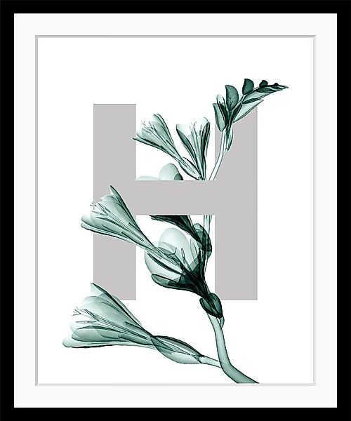 queence Bild »H-Flower«, Buchstaben, Blätter, gerahmt, Blume günstig online kaufen