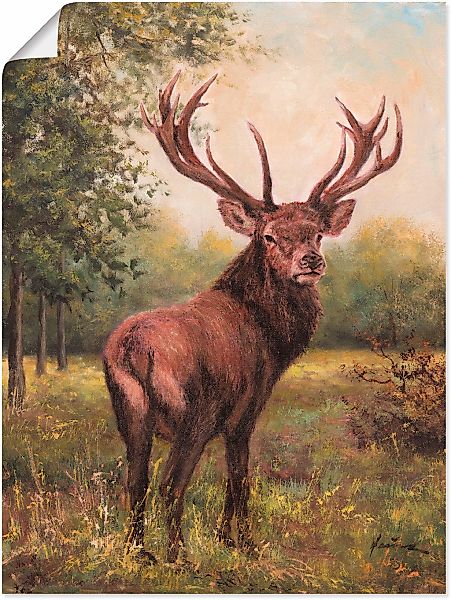 Artland Wandbild "Hirsch" Wildtiere 1 Stk. tlg. als Leinwandbild, Poster in günstig online kaufen