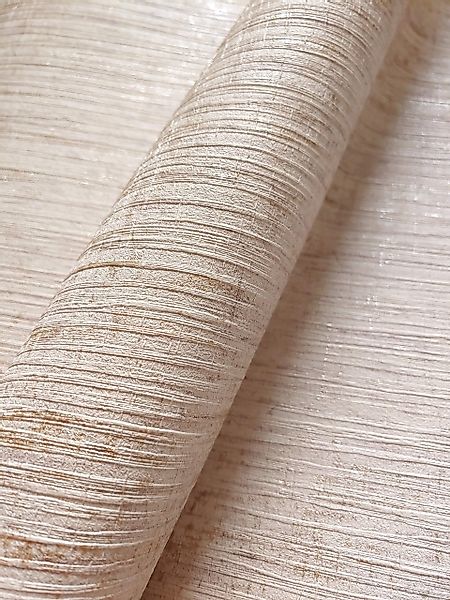 Newroom Vliestapete, Beige Tapete Uni Leicht günstig online kaufen