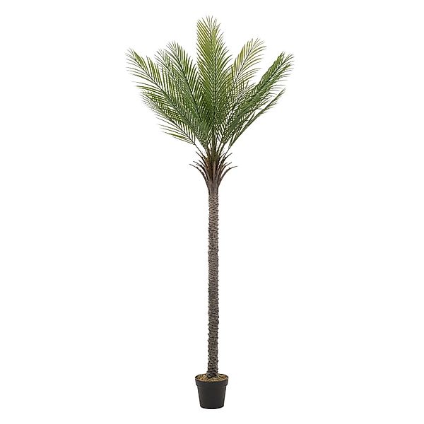 ML-Design Künstliche Palme 210 cm Groß Tropische Kunstpalme im Topf günstig online kaufen