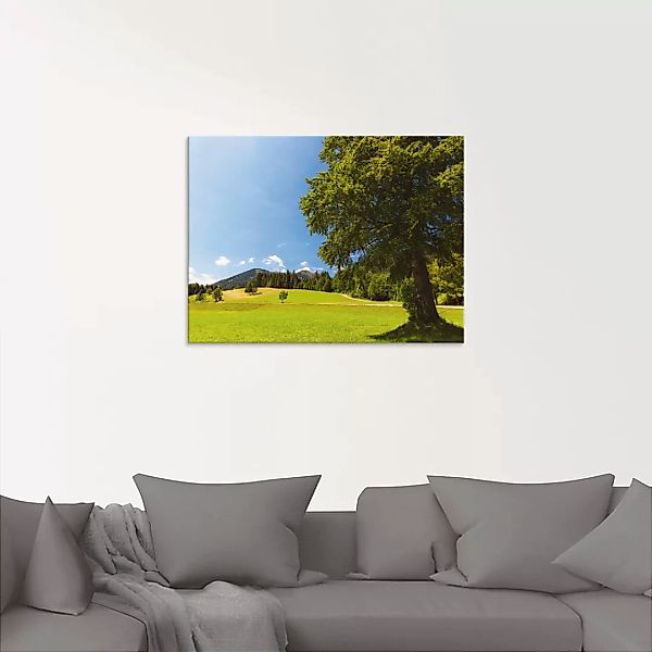 Artland Glasbild "Bayrische Landschaft", Wiesen & Bäume, (1 St.), in versch günstig online kaufen