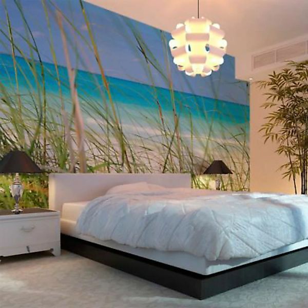 artgeist Fototapete Tropical journey mehrfarbig Gr. 450 x 270 günstig online kaufen