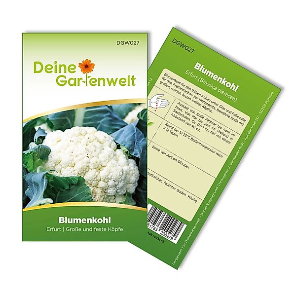 Deine Gartenwelt Blumenkohl Erfurt Samen günstig online kaufen