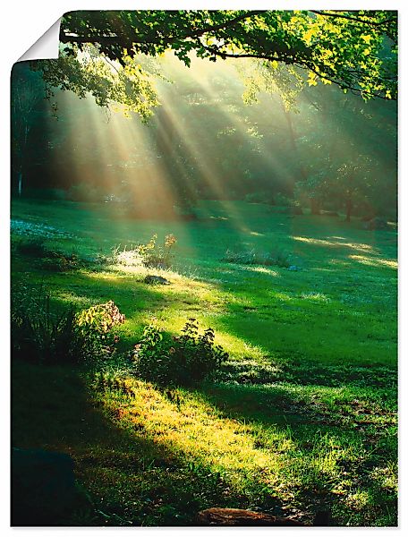 Artland Wandbild "Lichtkegel" Wald 1 Stk. tlg. als Alubild, Outdoorbild, Le günstig online kaufen