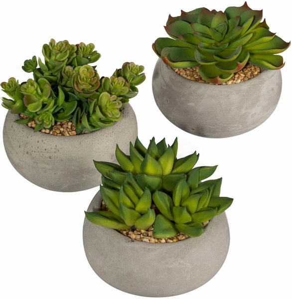 Kunstpflanze Sukkulenten, Creativ green günstig online kaufen