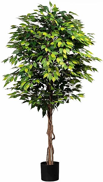 Creativ green Kunstpflanze "Ficus Benjamini" günstig online kaufen