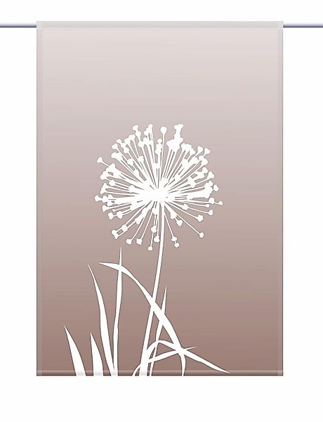 gardinen-for-life Scheibengardine Allium 24 - coffee günstig online kaufen