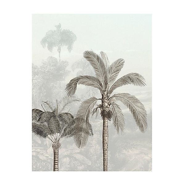 Komar Poster Jungle Panorama günstig online kaufen