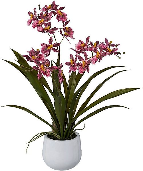 Kunstorchidee Gambia, Creativ green, Höhe 50 cm, im Keramiktopf günstig online kaufen