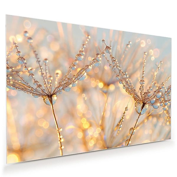 Primedeco Glasbild Wandbild Tautropfen Panorama mit günstig online kaufen