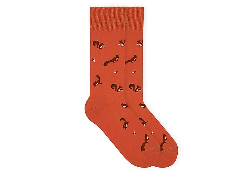 von Jungfeld Socken Eichhörnchen Icon Bio-Baumwolle 35-46 Unisex (1-Paar, 1 günstig online kaufen