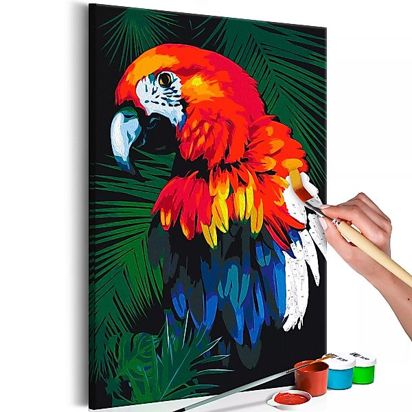 Malen Nach Zahlen - Papagei günstig online kaufen