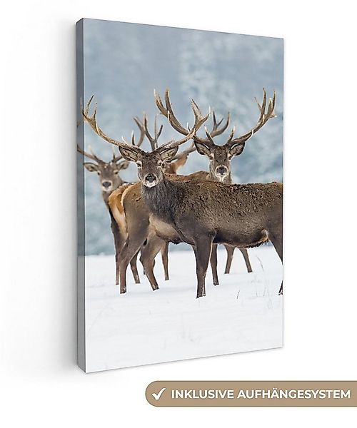 OneMillionCanvasses® Leinwandbild Hirsche - Tiere - Schnee - Winter - Lands günstig online kaufen