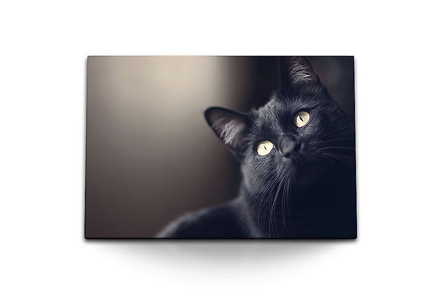 Sinus Art Leinwandbild 120x80cm Wandbild auf Leinwand Schwarze Katze Hauska günstig online kaufen