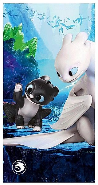 Dragons Handtuch Drachen zähmen leicht gemacht Handtuch Badetuch 70x140 cm günstig online kaufen