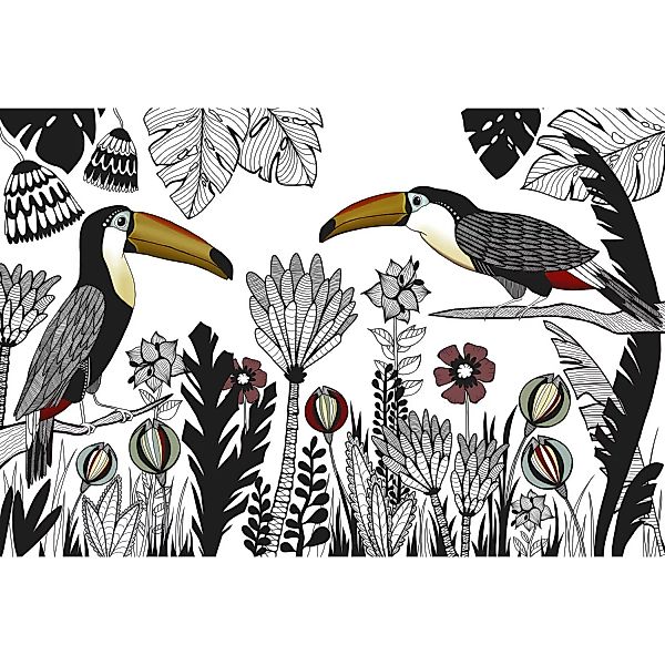 Fototapete Vögel Pflanzen Weiß Schwarz Rot Gelb 4,00 m x 2,70 m FSC® günstig online kaufen