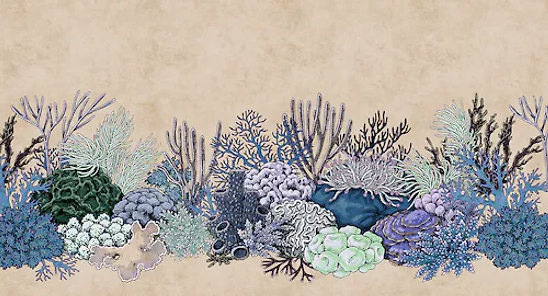 living walls Fototapete »Walls by Patel Octopus´S Garden 3« glatt Vlies, Wa günstig online kaufen