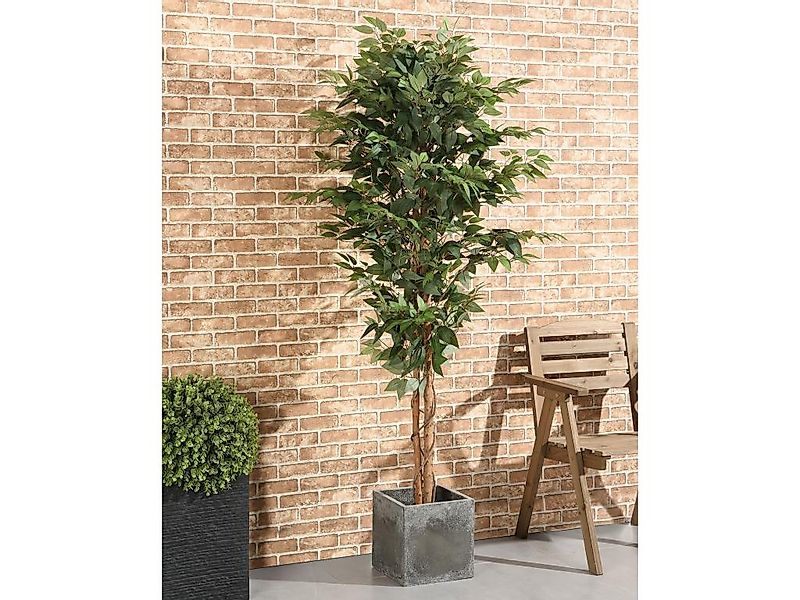 Kunstpflanze Ficus mit Topf - 180 cm - VALOPA günstig online kaufen