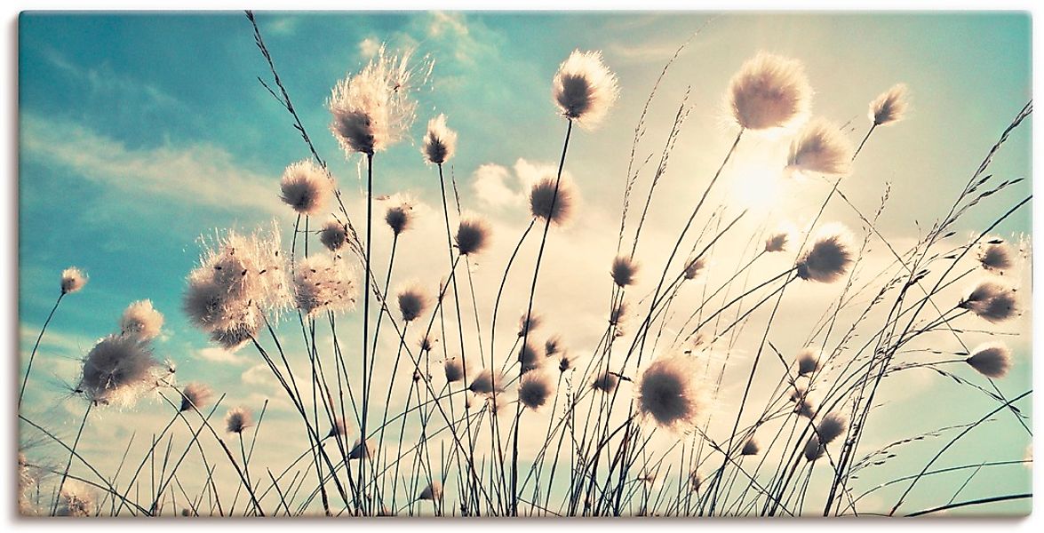 Artland Wandbild "Wollgras" Gräser 1 Stk. tlg. als Alubild, Leinwandbild in günstig online kaufen
