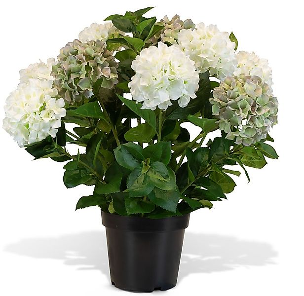 Hortensie - Hydrangea Kunstpflanze, 10 Blüten, Höhe 73 cm, weiß-grün günstig online kaufen