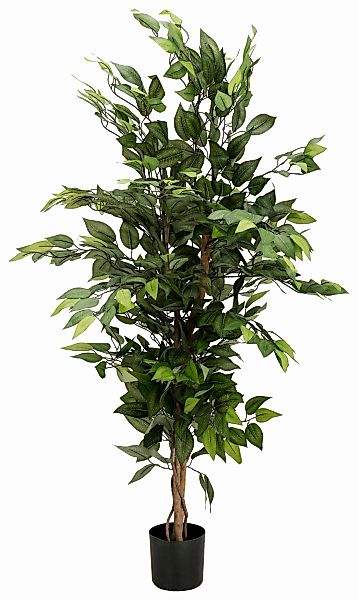 Kunstpflanze Ficus Benjamini Grünpflanze, Creativ green, Höhe 150 cm günstig online kaufen