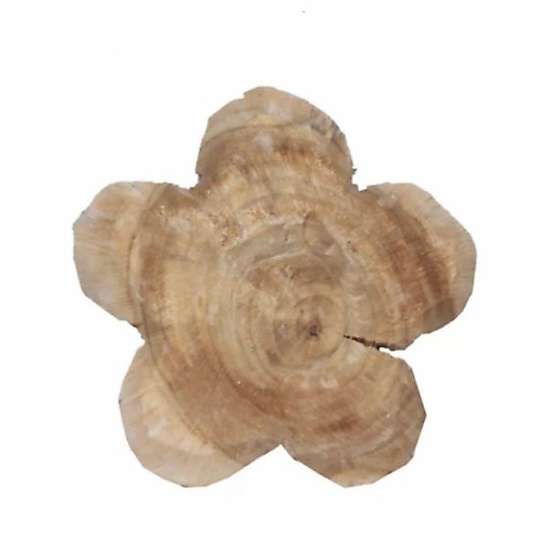 Holzblume Pappel natur Höhe 20 cm günstig online kaufen