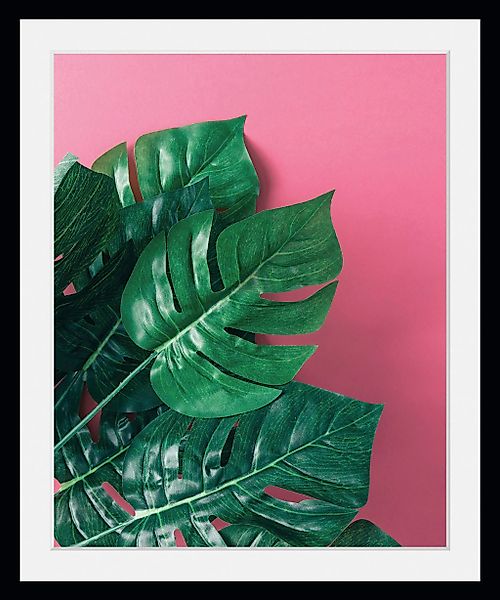 queence Bild »Human Nature«, Blätter-Pflanzen-Pflanzenbilder, (1 St.), HD P günstig online kaufen